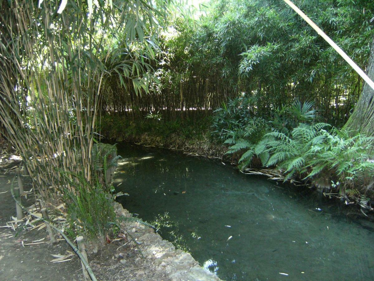 Retour Aux Sources Villa Sauve Luaran gambar